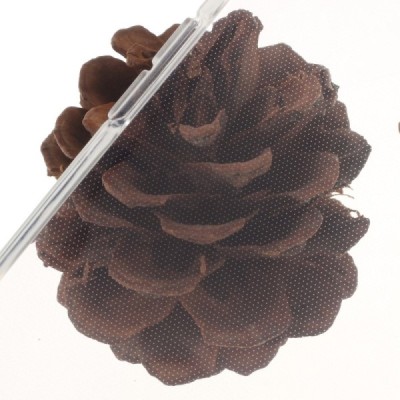 OnePlus 3 (OnePlus Three) cieta silikona (TPU) dzidrs apvalks / vacins.lv