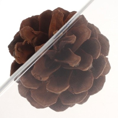 Sony Xperia X Performance cieta silikona (TPU) dzidrs apvalks / vacins.lv