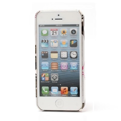 „Burberry“ stiliaus sidabrinis Apple iPhone SE (5, 5s) dėklas (dėkliukas, nugarėlė) / Priedai.lt