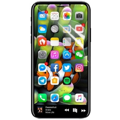 Apple iPhone X (iPhone Xs, 11 Pro) skaidri apsauginė pilnai dengianti ekrano plėvelė / Priedai.lt