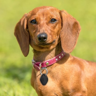 Samsung Galaxy SmartTag silikona melns maciņš SmartTag | Vacins.lv